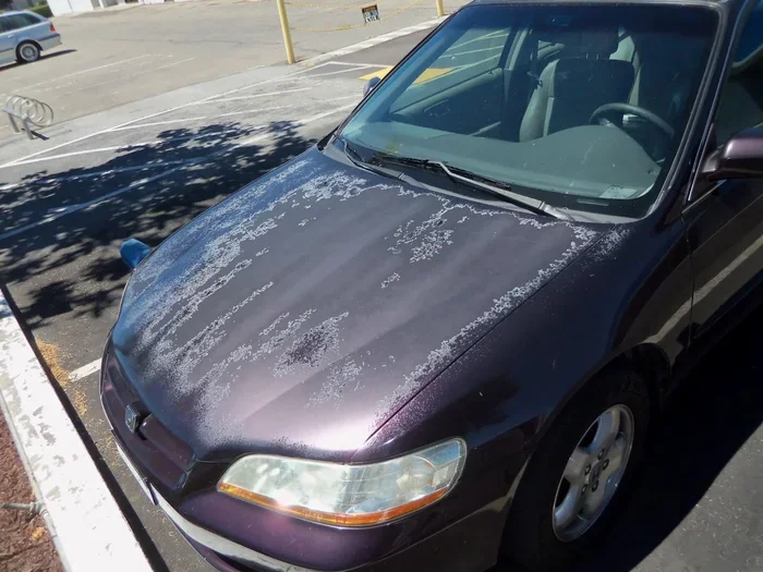 Can You Wash Your Car Too Much And Ruin The Paint Job