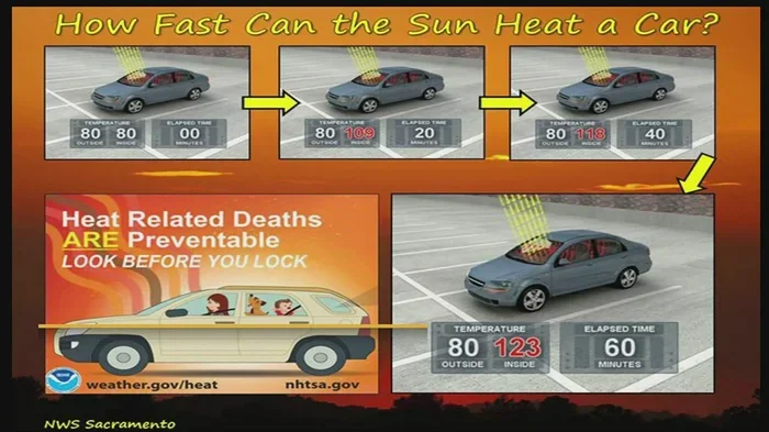 How Hot Can a Car Get in the Sun and Why It Matters